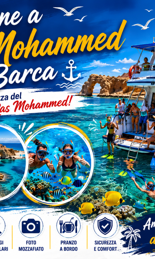 ChatGPT Image 26 يونيو 2026، 06 13 35 م 600x1000