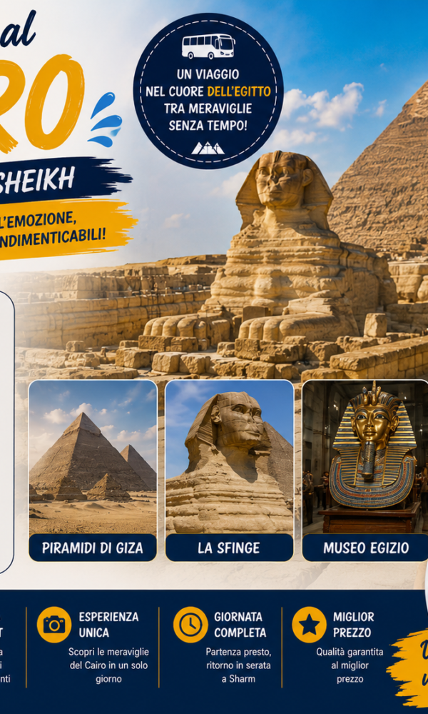 ChatGPT Image 29 يونيو 2026، 02 32 39 م 600x1000