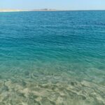 IMG 20260626 WA0037 150x150