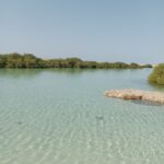 IMG 20260626 WA0055 150x150