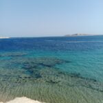 IMG 20260626 WA0059 150x150