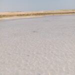 IMG 20260626 WA0074 150x150