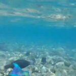 IMG 20260626 WA0109 150x150