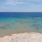 IMG 20260626 WA0116 150x150