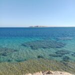 IMG 20260626 WA0170 150x150