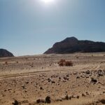 IMG 20260626 WA0654 150x150