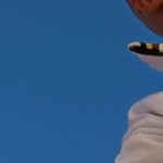 IMG 20260626 WA0684 150x150