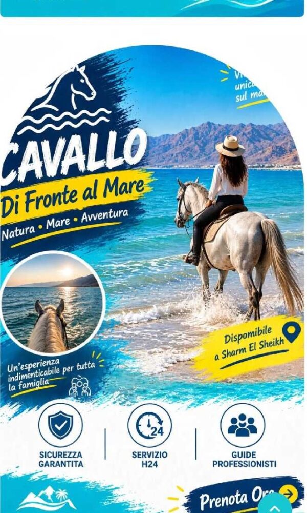 Cropped flyer 600x1000